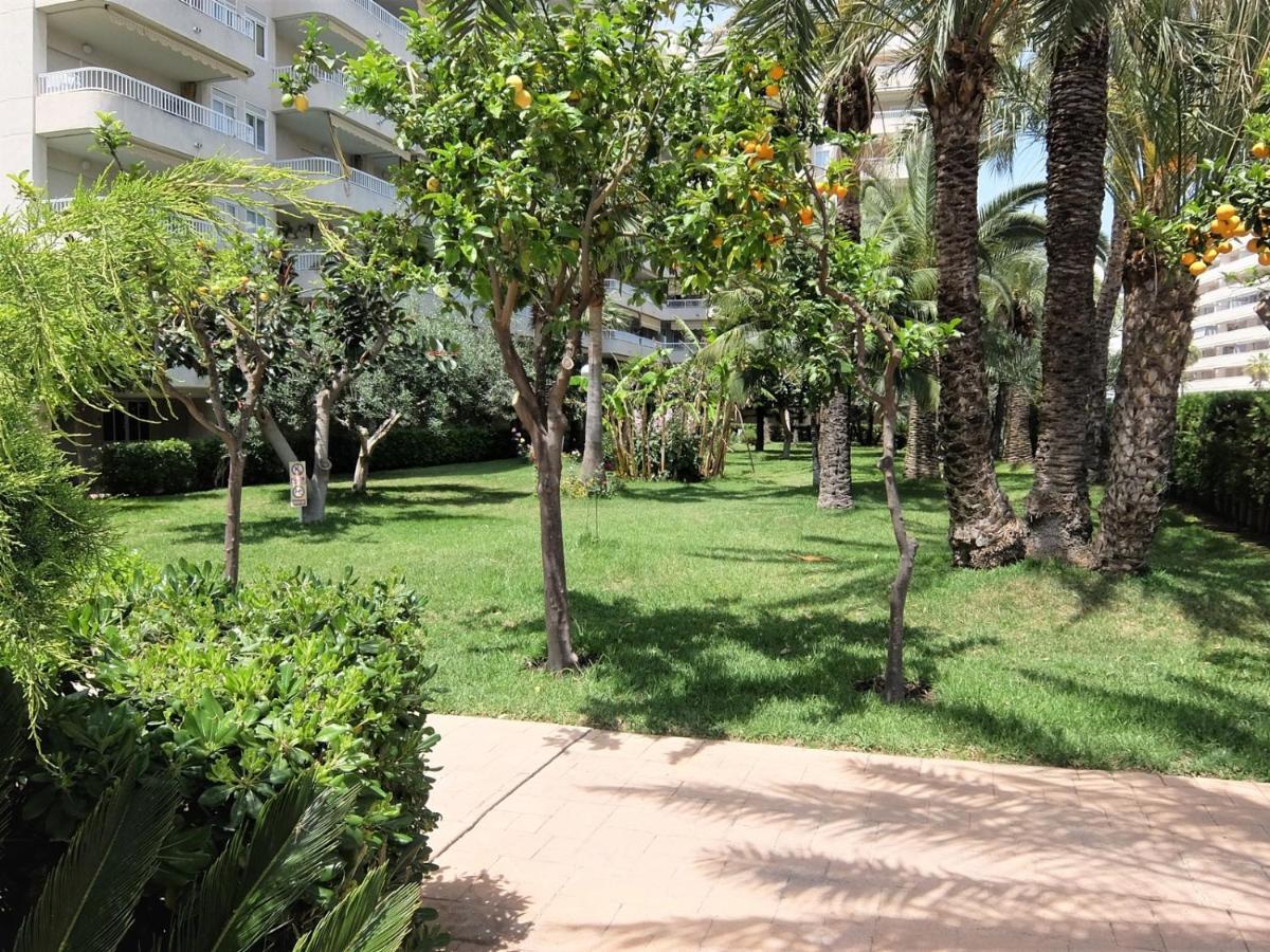 Parque Mota - Alquiler Solo A Familias Appartement Playa de Gandia Buitenkant foto